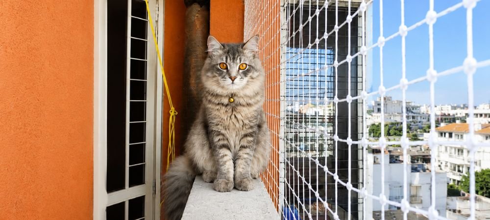 Pet Safety Nets
