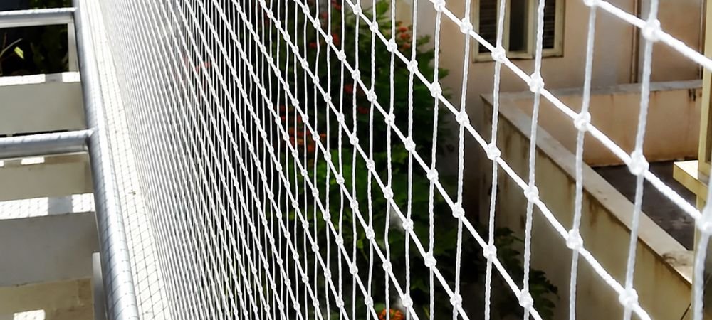 Bird and Pigeon Control Service