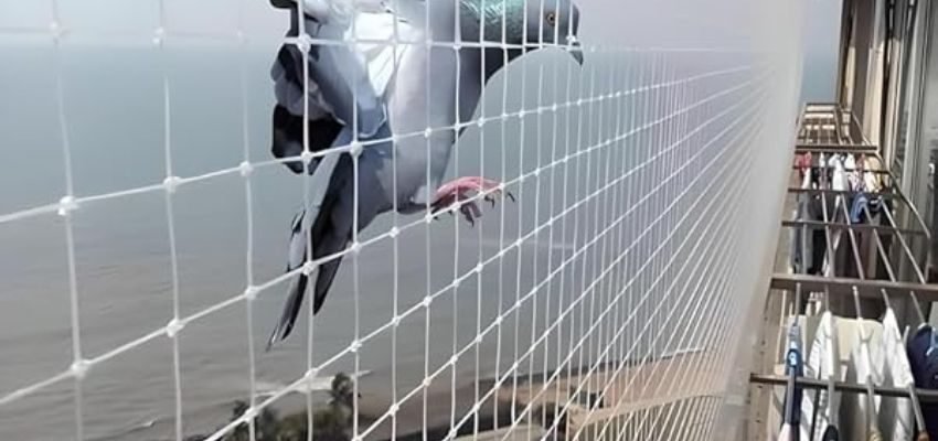 Anti Bird Nets for Balconies