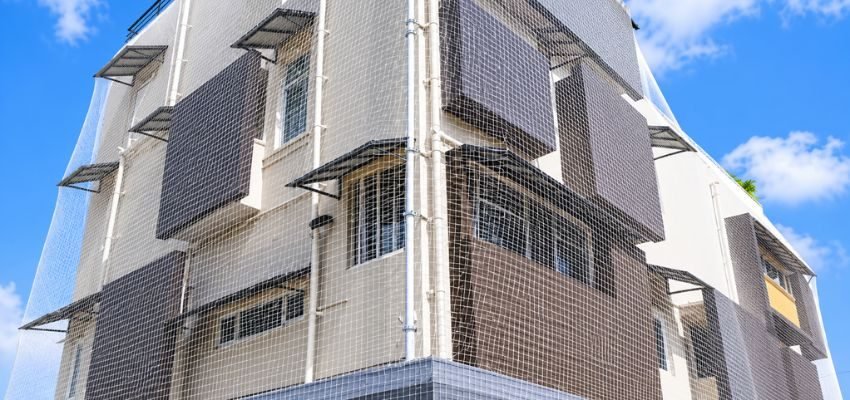 Honey Safety Nets project