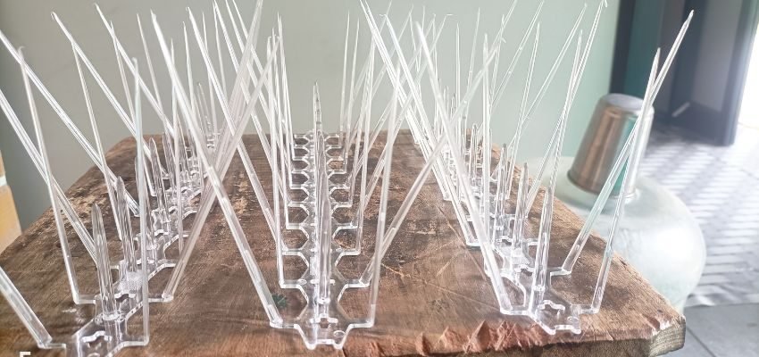 Honey Safety Nets project